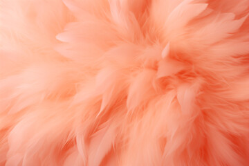 Peach Color Bird Feathers Background