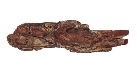 Old rotten bark, putrid conifers isolated on white, clipping path