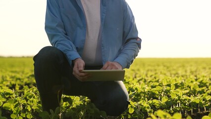 agricultural productivity, farmer works hand digital tablet, farmer work field green sprouts, modern agricultural sector, soybean crop planting fertilize fields, continuity work process agricultural - obrazy, fototapety, plakaty