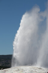 Old Faithful in Yellowstone