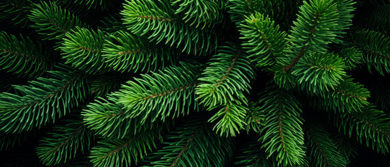 Fototapeta na wymiar Vibrant green fir tree branches densely packed, showcasing the natural beauty and texture of pine needles.