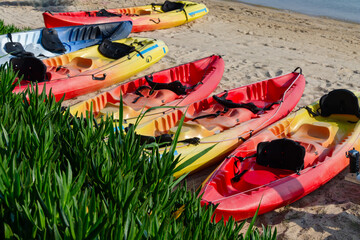 Colored kayaks lie in a row on the beach