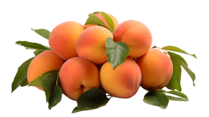 Cluster of fresh, ripe peaches with vibrant green leaves on a white background