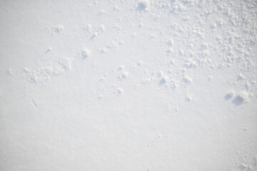 snow texture, white snow surface 
