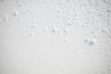 snow texture, white snow surface 
