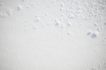 snow texture, white snow surface 

