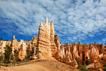 Hiking among the hoodoohs in the Queens Garden Trail. Bryce Canyon National Park. Utah USA - obrazy, fototapety, plakaty