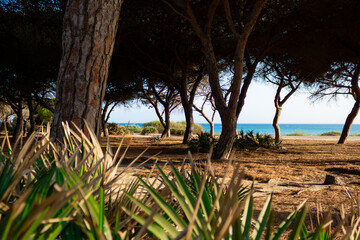 Puesta de sol en la Playa 10