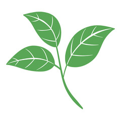 green leaf nature vector illustration