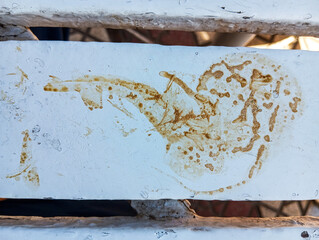 Dirty white painted wooden table with brown coffee stains. Abstract brown coffee grunge background with copy space.