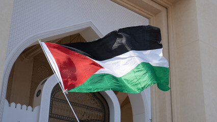 waving the Palestinian flag as a gesture of solidarity during a protest to express support for the...