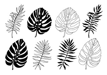 Monstera and palm line art and silhouette set of tropical leaves, greenery design element. Leaf for coloring book, logo or scrapbook. Vector illustration, isolate on white background