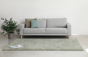 Soft carpet and sofa in living room