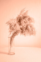 Pampas grass in a glass vase and garland in light pastel colors against a wall. Vertical image, place for text. Peach fuzz is color of year 2024.