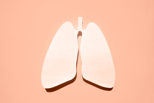 recommend clip art: Anatomical lungs paper silhouette. The concept of healthy breathing. Flat lay. Peach fuzz is color of year 2024.