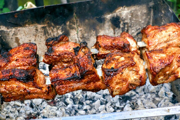 Grilled delicious barbecue appetizing pieces of meat outdoors