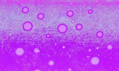 Purple abstract background banner, with copy space for text or your images