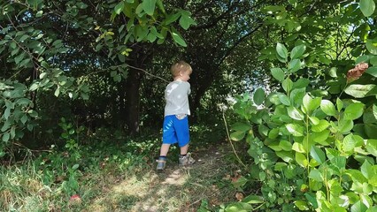 A child waves a stick in nature. High-quality shooting in 4K format. Concepts of aggression, stress, fear, whims, bad behavior, psychology, education, prohibitions, restrictions, fights, trauma