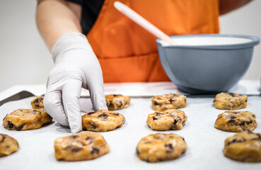 Professional bakery chef’s hand in a food-grade glove laying rows of fresh homemade chocolate chip and chunk cookies on the baking sheet after mixing, preparing for bake. Brown sweet dough on a tray.
