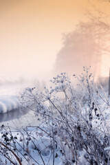 Krajobraz zimowy, mglisty świt - obrazy, fototapety, plakaty