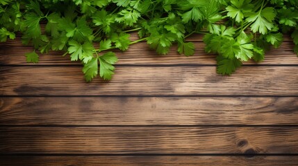 A wooden background with fresh parsley and ample room for your text in the upper part of the image.