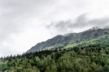 Morning Clouds Surrounding Forest at Kenai Fjords National Park in Seward, AK