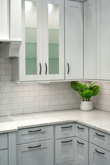 close up on white kitchen interior with plant and cabinet
