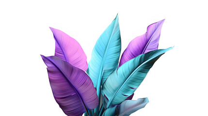 Botanical Brilliance: Colorful Plant Leaves on Transparent Background