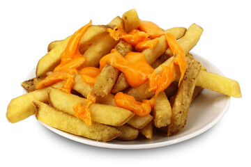 CHEESE FRIES