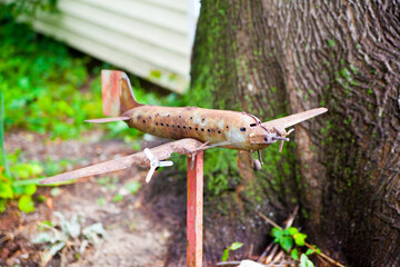 Small metal airplane model on pole in Lush Garden Setting