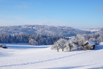 Winterlandschaft