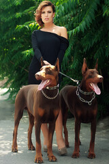 Sexy  woman with two miniature doberman dogs.