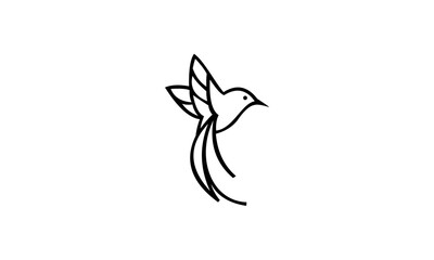 bird of paradise
