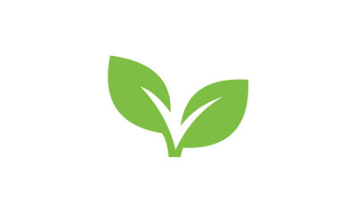 green plant isolated on white