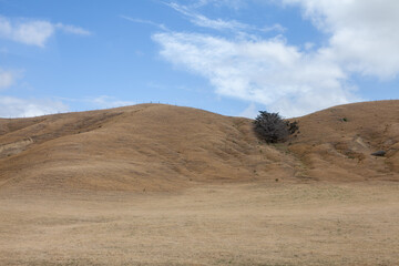 Kaikoura, South Island, New Zealand