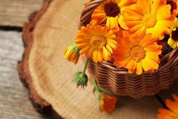 Beautiful fresh calendula flowers on table, above view. Space for text