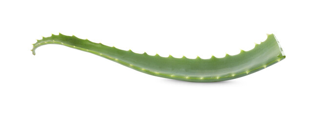 Naklejka premium Green aloe vera leaf isolated on white