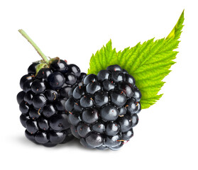 Tasty ripe blackberries and green leaf isolated on white