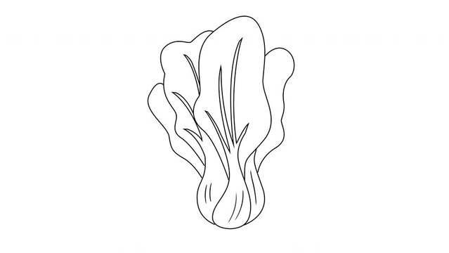animated sketch of the mustard greens icon