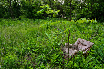 Abandoned Armchair in Lush Green Forest Representing Environmental Pollution