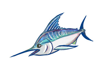 Fototapeta premium カジキマグロ