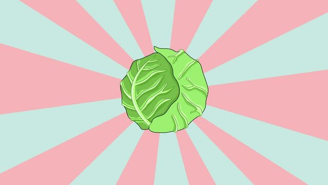 Animated cabbage vegetable icon with a rotating background