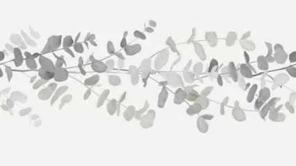 Poster Im Rahmen Foliage horizontal seamless pattern, grey Eucalyptus cinerea on brown © momosama