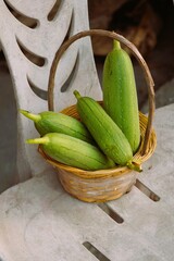 Freshly harvested sponge gourd vegetables.