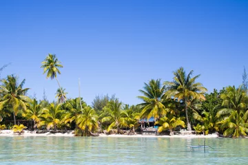 Photo sur Plexiglas Bora Bora, Polynésie française Beach coastline in Bora Bora. Lagoon in front of a motu.  Palm beach in tropical idyllic paradise island. Exotic landscape for dreamy and inspirational summer scene