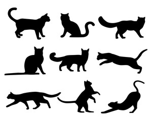 cats silhouettes in a vector set