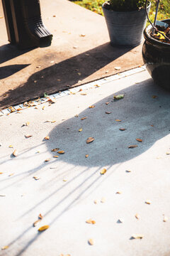 shadows under the autumn sun