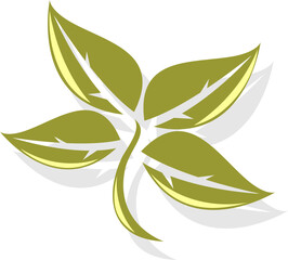 Leaf logo and icon
