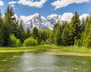 The peaks of the Cathedral Group of the Teton Mountain Range rise high above the waters of the Snake River at Schwabacher’s Landing in Grand Teton National Park, Wyoming, USA. - 690466569