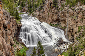 Gibbon Falls, a wide Wyoming waterfall on the Gibbon River of Yellowstone National Park, cascades and plunges whitewater over a cliff in a rocky canyon with steep walls. - 690466572
